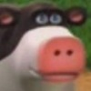 lieNB