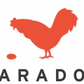 LifesParadox