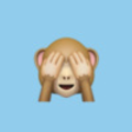 lil_monkey