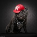 lil_razer