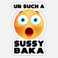 lil_sussy
