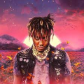 LilDrown
