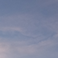 LilTweet