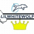 lilwhitewolf31