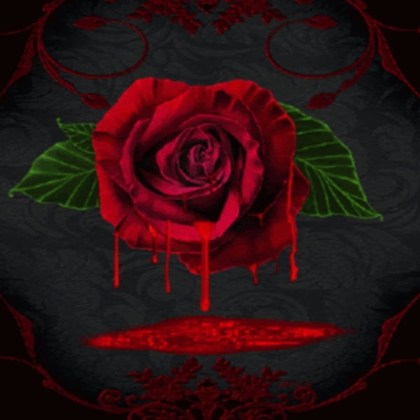 Bleeding Rose