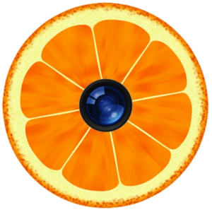 Mandarin Blog