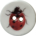 Ladybug Lane