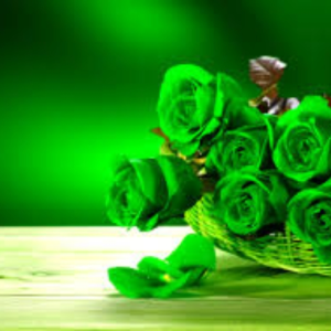 GreenFlowers