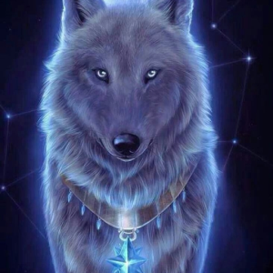 spiritwolf13