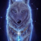 spiritwolf13