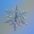 LLSnow