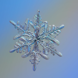 LLSnow