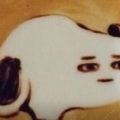 lo_RRkA26