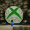 Logan_Sarkees