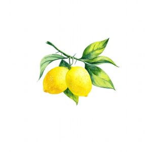 Lemon Squeezer