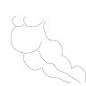loit