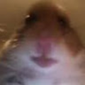 lolxdnobred