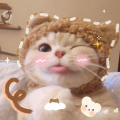 lolzzoocoollx