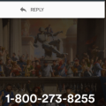 loonytoons6904