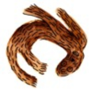 loopacca