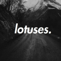 lotuses.
