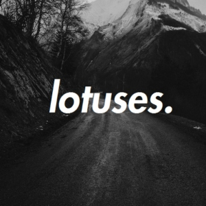 lotuses.