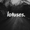 lotuses.