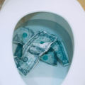 LowFlowToilet