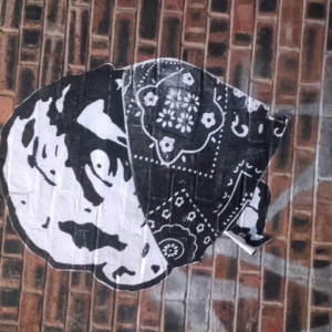 oYo