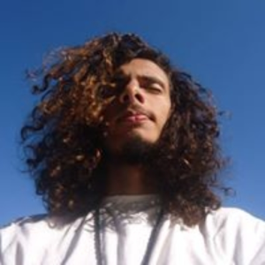 LSDio