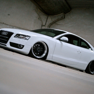 LSDreams