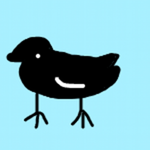 LuaCrow