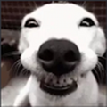 LUIGI_BW_