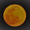 lunaislunar