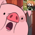 luxx_panda