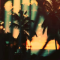 [Sp.ceSh.p]