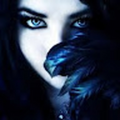 lynniecdm_gmail_com