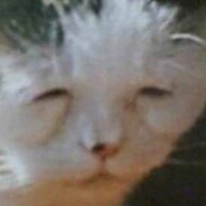 m4r