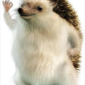MachadoArthur