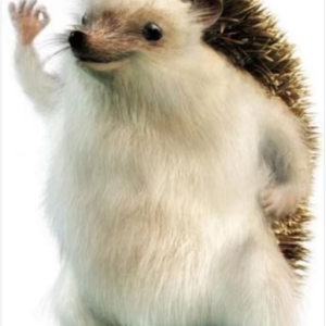 MachadoArthur