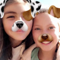 macie_fogel