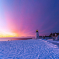 maddoxda_usd431_net