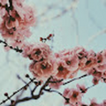 madleiene_khader10_eduhoor_se