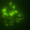 Major_Flux ΦΚβ