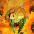 makaronaksena_gmail_com
