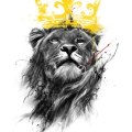 malachi_cook_