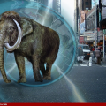 mammoth machine