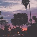[xx.idk]