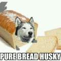MarMarBinkz
