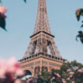 martyna310509